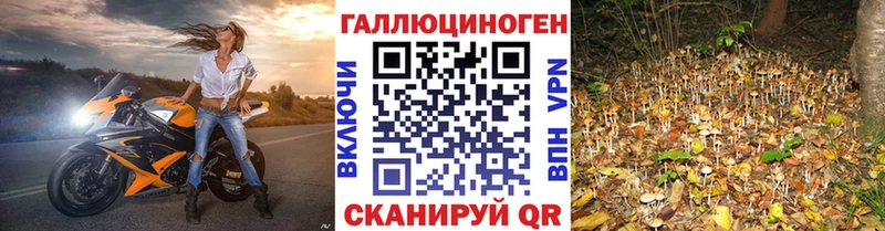 Галлюциногенные грибы мицелий  Камбарка 